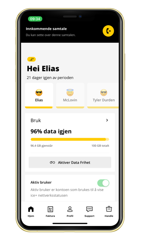 Skjermbilde fra ice-app