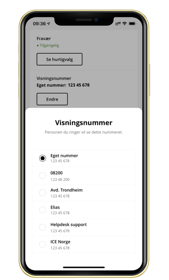 Skjermbilde fra ice-app